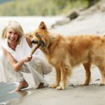 Urlaub mit Hund Sommer